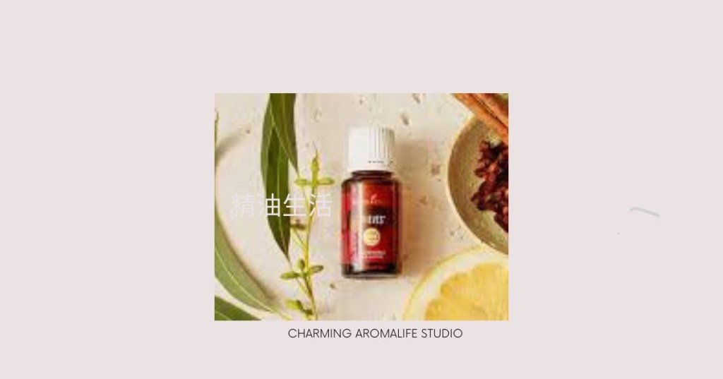 ็่ณThieves้
ๆน็ฒพๆฒนๅฑ
ๅฎถไฝๆฏ็ๆดป๏ฝๆตทๅ่ผช่ฝ้ๅฎ่ญท่