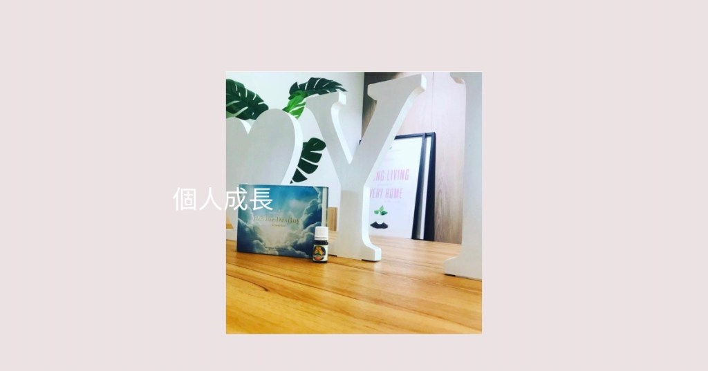 21天神聖旅程Divine Destiny｜開啟幸福豐盛人生的拼圖