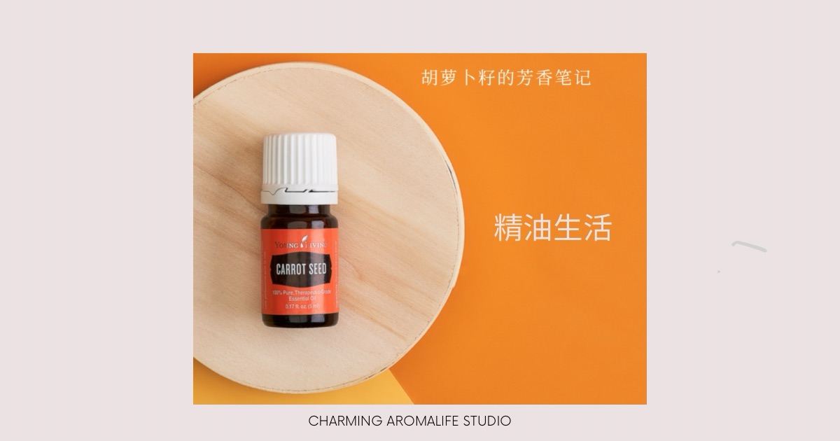 胡蘿蔔籽精油｜大地的美膚詩篇與健康密語